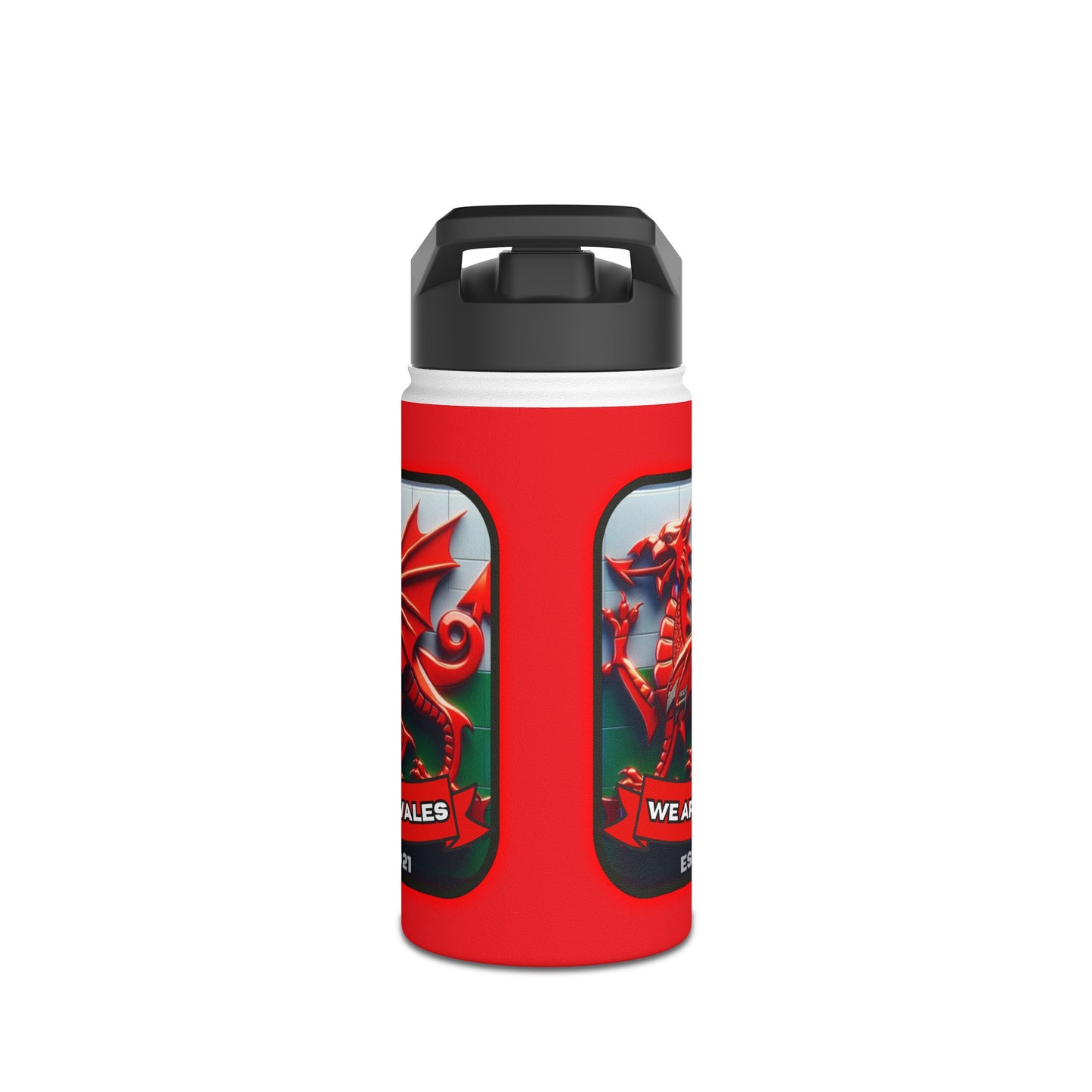 We Are Wales Stainless Steel Water Bottle