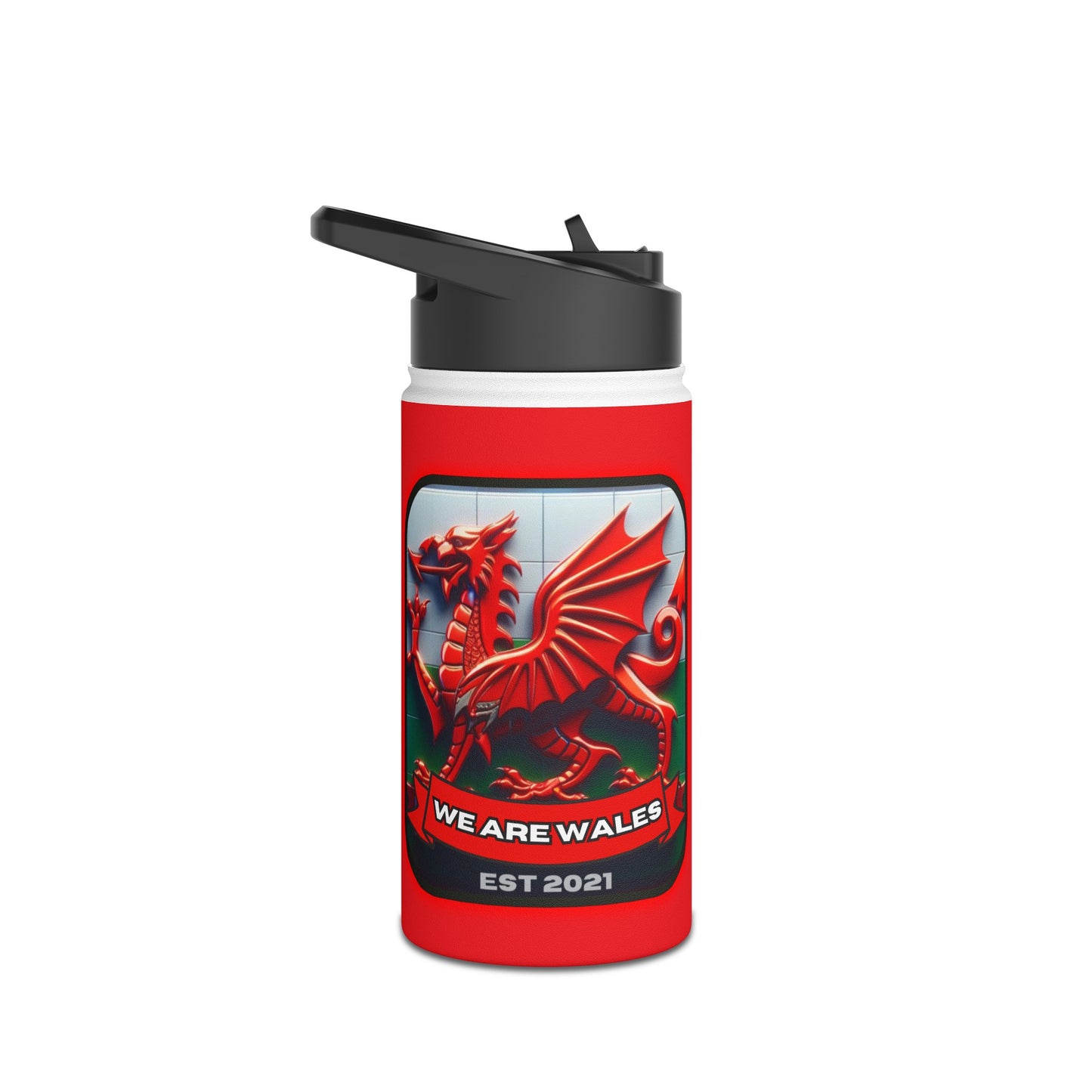 We Are Wales Stainless Steel Water Bottle