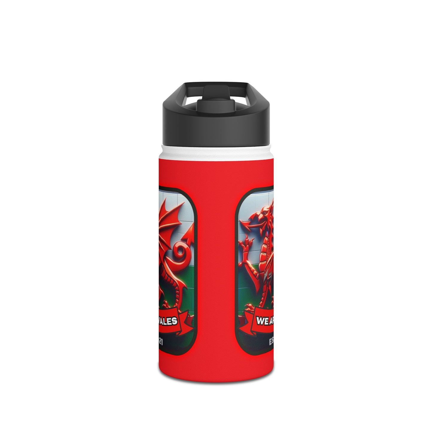 We Are Wales Stainless Steel Water Bottle